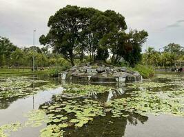 Taman tasik titiwangsa in Malaysia photo