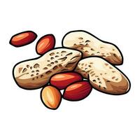 varios tipos de nueces consumado vector