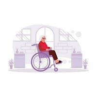 Portrait of an older woman sitting in a wheelchair in a house happily. Trend Modern vector flat illustration.