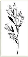 Floral branches and minimalist flowers for logo or tattoo. Hand-drawn line wedding herb, elegant leaves. vector