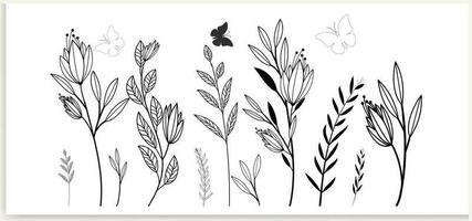 Botanical abstract line art, hand-drawn bouquets of herbs, flowers, leaves, and branches, vector illustration