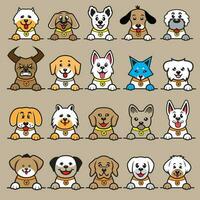 A collection of dogs with different colors vector