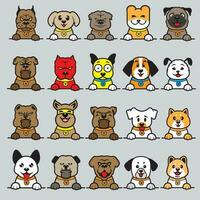 A collection of dogs with different colors vector