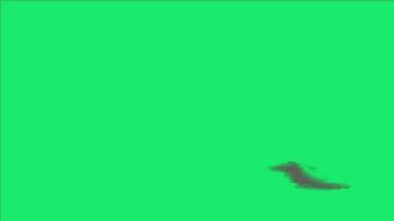 Smoke effect animation on green background video