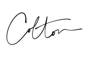 signature series C design illustration vector