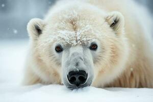 Muzzle of a white polar bear close-up, portrait. AI generated photo