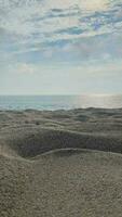 timelapse dromer de zand strand in vila nova de Gaia, Portugal, in portret mode video