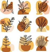 Set Collection Boho Organic Botanical Line Illustration vector