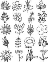 Set Collection Rretro Graphic Element Illustration vector