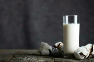 Glass of butter milk and cotton plant bolls. photo