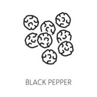 Pile of black peppercorns isolated pepper seeds vector