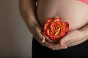 joven embarazada mujer mantiene natural Rosa florecer cerca a su barriga. foto