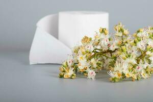 Horse chestnut flowers on a gray surface. Roll of toilet paper in the background. photo