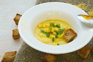 Corn cream soup photo