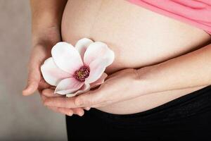 Young pregnant woman keeps artificial orchid flower close to her belly. photo