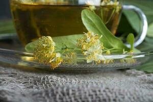 Linden blossoms on a glass cup plate. photo