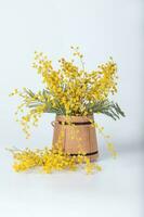 Mimosa flowers on a wooden surface., Mimosa flowers in a wooden mini bucket. photo