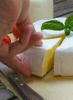 Stinky French cheese and red cherry tomatoes. Closeup photo