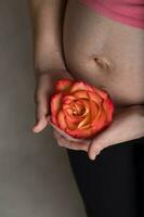 joven embarazada mujer mantiene natural Rosa florecer cerca a su barriga. foto