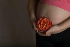 Young pregnant woman keeps natural rose blossom close to her belly. photo