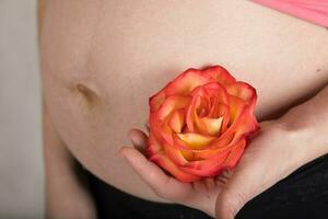 Young pregnant woman keeps natural rose blossom close to her belly. photo