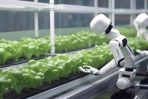 Robots Lettuce Plants in Lab Futuristic Robotic Farmers Transforming Agriculture with Advanced Technology Farm Automation photo