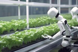 Robots Lettuce Plants in Lab Futuristic Robotic Farmers Transforming Agriculture with Advanced Technology Farm Automation  AI Generated photo