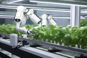 Robots Lettuce Plants in Lab Futuristic Robotic Farmers Transforming Agriculture with Advanced Technology Farm Automation photo