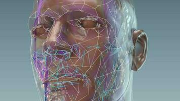 Futuristic artificial intelligence facial recognition 3D animated head - Loop video