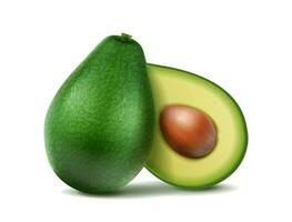 3d realistic vector icon set. Raped green avocado and half sliced.