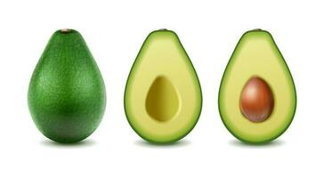 3d realistic vector icon set. Whole avocado, half sliced. Isolated on white background.