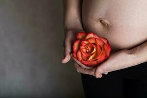 joven embarazada mujer mantiene natural Rosa florecer cerca a su barriga. foto