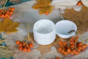 Face cream with rowan berries extract. photo
