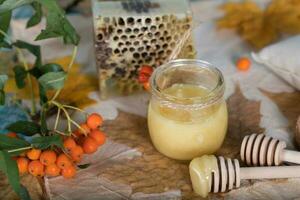 Rowan berries, glass with honey and honeycomb on a sackcloth. . photo