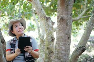 Asian female botanist is at the forest to survey and collect information of botanical plants by using smart tablet. Concept wireless technology smart device. Environmental research and education. photo