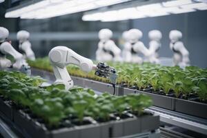Robots Lettuce Plants in Lab Futuristic Robotic Farmers Transforming Agriculture with Advanced Technology Farm Automation photo