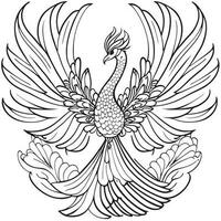 peacock, vector illustration line art