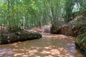 Tranquil Stream Flowing Through Lush Green Forest photo