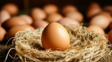 Farm-Fresh Eggs on Rustic Straw and Burlap Background - Generative AI photo