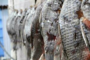 salted fish, dried fish, beer appetizer, dried fish dries in the sun photo