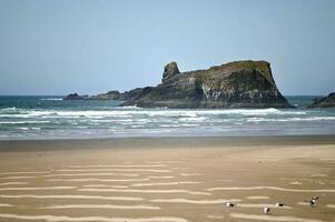 The surf has made ridges on the sandy beach photo