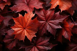 Maple leaves in vibrant hues fall and dance in the autumn backdrop AI Generated photo