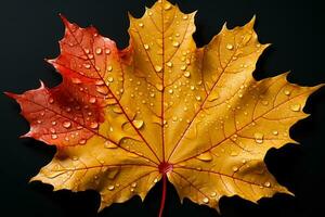 Autumn's beauty unfolds as maple leaves in yellow and red descend AI Generated photo