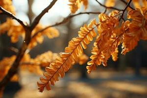 calentar iluminado por el sol otoño ambiente, exhibiendo amarillo hojas en árbol ramas ai generado foto