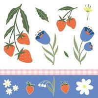 Fruit and flower hand drawn illlustration elements -Strawberry vector