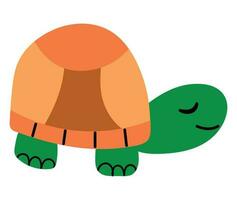 Cute hand drawn turtle. Animal safari. White background, isolate. vector