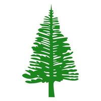 Navidad árbol saludo tarjeta antecedentes. verde color árbol aislado vector