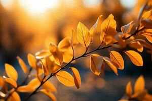 Bright sunlight casting a warm glow on fall's yellow foliage AI Generated photo