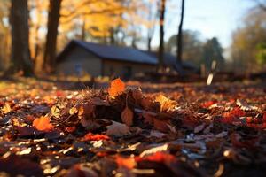 Clearing the yard of autumn foliage with a rake photo