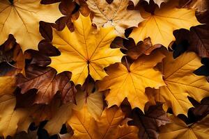 The air is filled with swirling yellow and red maple leaves of autumn AI Generated photo